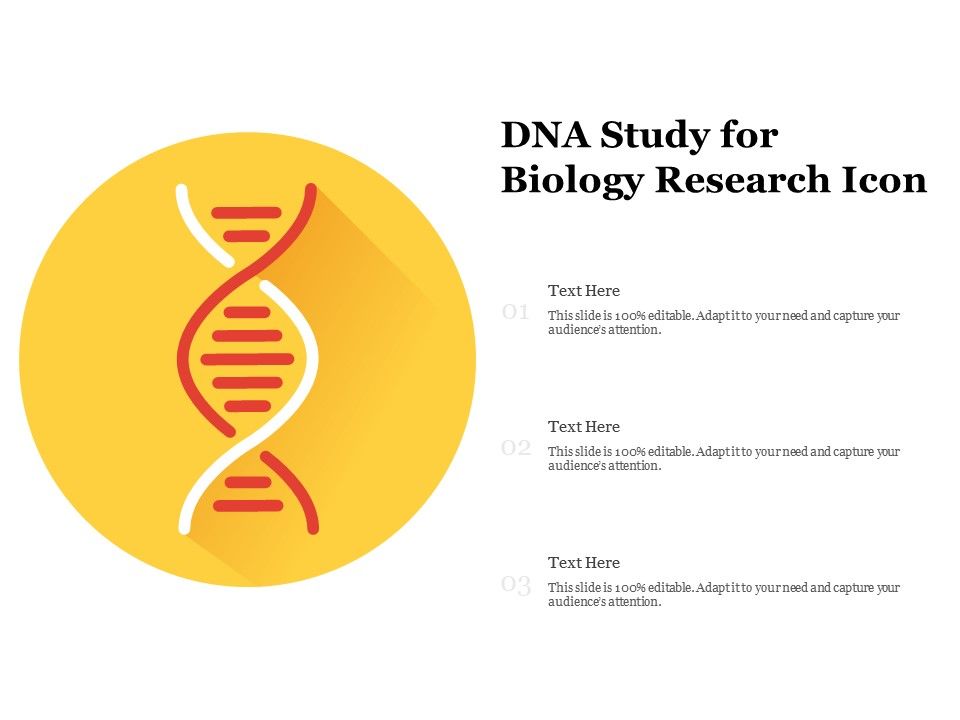 Dna study for biology research icon