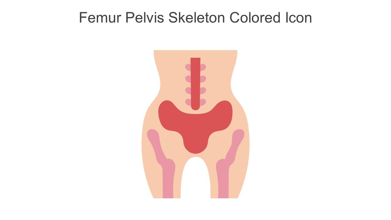 Femur Pelvis Skeleton Colored Icon In Powerpoint Pptx Png And Editable Eps Format