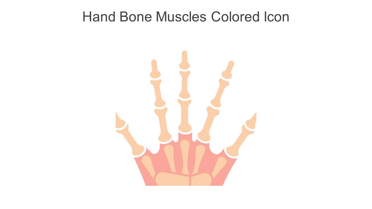 Hand Bone Muscles Colored Icon In Powerpoint Pptx Png And Editable Eps Format
