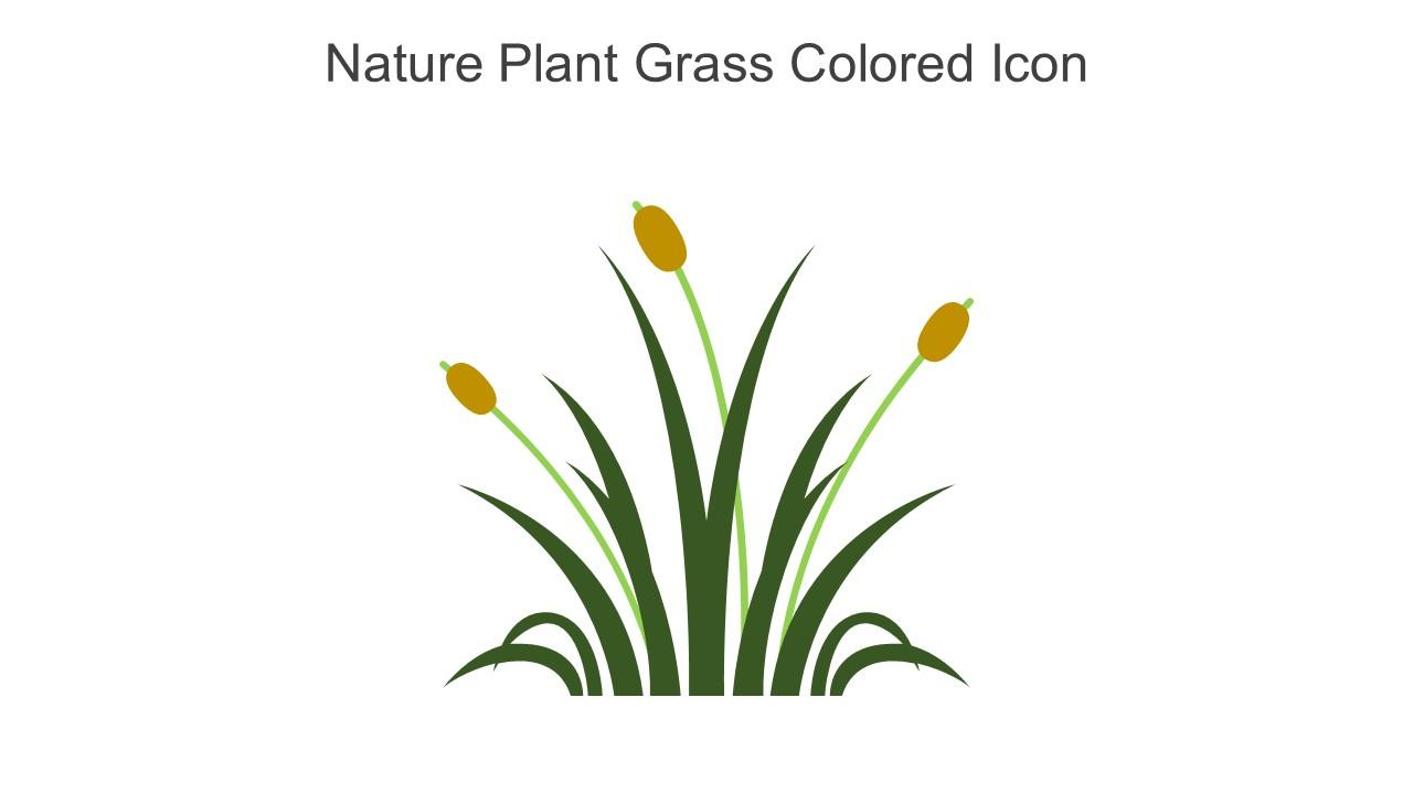 Nature Plant Grass Colored Icon In Powerpoint Pptx Png And Editable Eps Format
