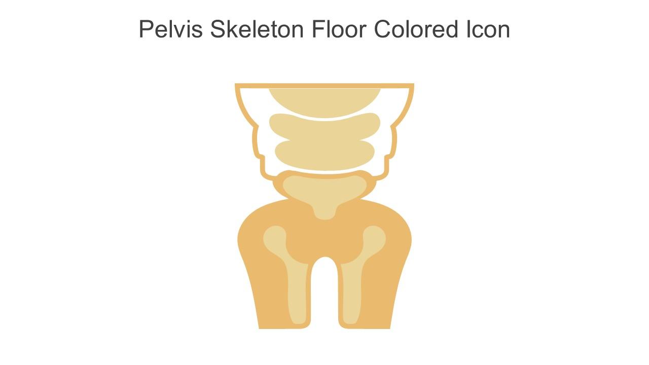 Pelvis Skeleton Floor Colored Icon In Powerpoint Pptx Png And Editable Eps Format