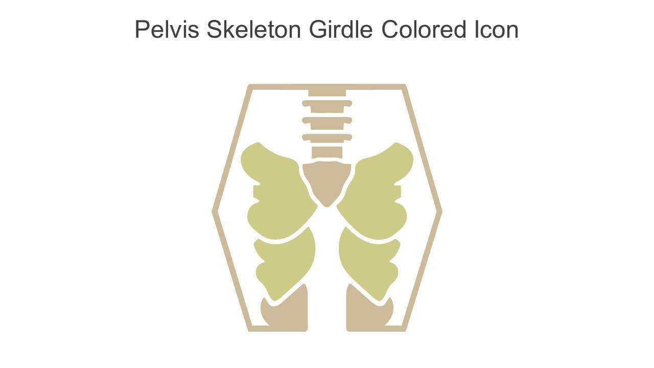 Pelvis Skeleton Girdle Colored Icon In Powerpoint Pptx Png And Editable Eps Format