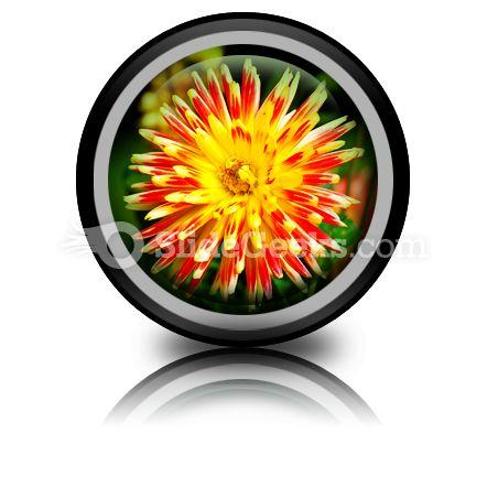 Dahlia beauty powerpoint icon cc