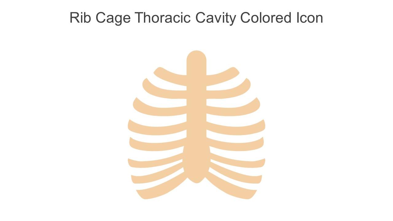 Rib Cage Thoracic Cavity Colored Icon In Powerpoint Pptx Png And Editable Eps Format