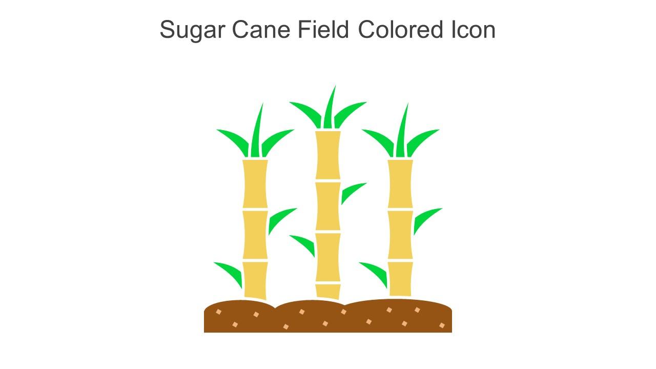 Sugar Cane Field Colored Icon In Powerpoint Pptx Png And Editable Eps Format