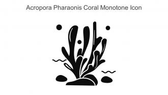 Acropora Pharaonis Coral Monotone Icon In Powerpoint Pptx Png And Editable Eps Format