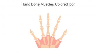Hand Bone Muscles Colored Icon In Powerpoint Pptx Png And Editable Eps Format