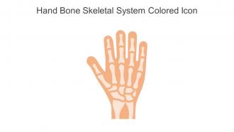 Hand Bone Skeletal System Colored Icon In Powerpoint Pptx Png And Editable Eps Format
