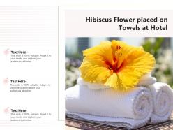 Hibiscus Inspection Plucking Beach Placed Drinking Spring
