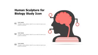 Human sculpture for biology study icon