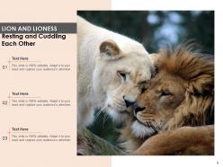 Lion Roaring Representing Landscape Astrological Symbol Face