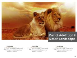Lion Roaring Representing Landscape Astrological Symbol Face