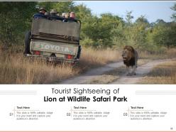 Lion Roaring Representing Landscape Astrological Symbol Face