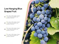 Low Hanging Fruit Sentinel Branch Bunch