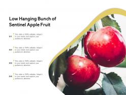 Low Hanging Fruit Sentinel Branch Bunch