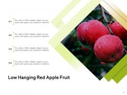 Low Hanging Fruit Sentinel Branch Bunch