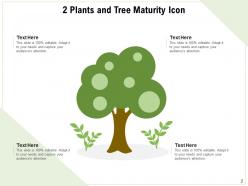 Maturity Icon Growth Business Financial Dollar Arrow Individuals