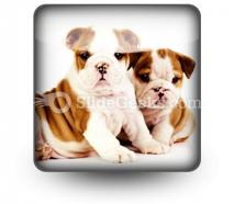 Bulldogs animals powerpoint icon s