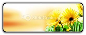 Yellow daises powerpoint icon r