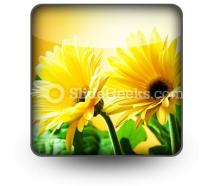 Yellow daises powerpoint icon s